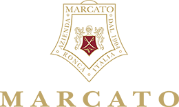 Demo Logo
